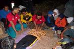 BLS With PD IPM Ponorogo